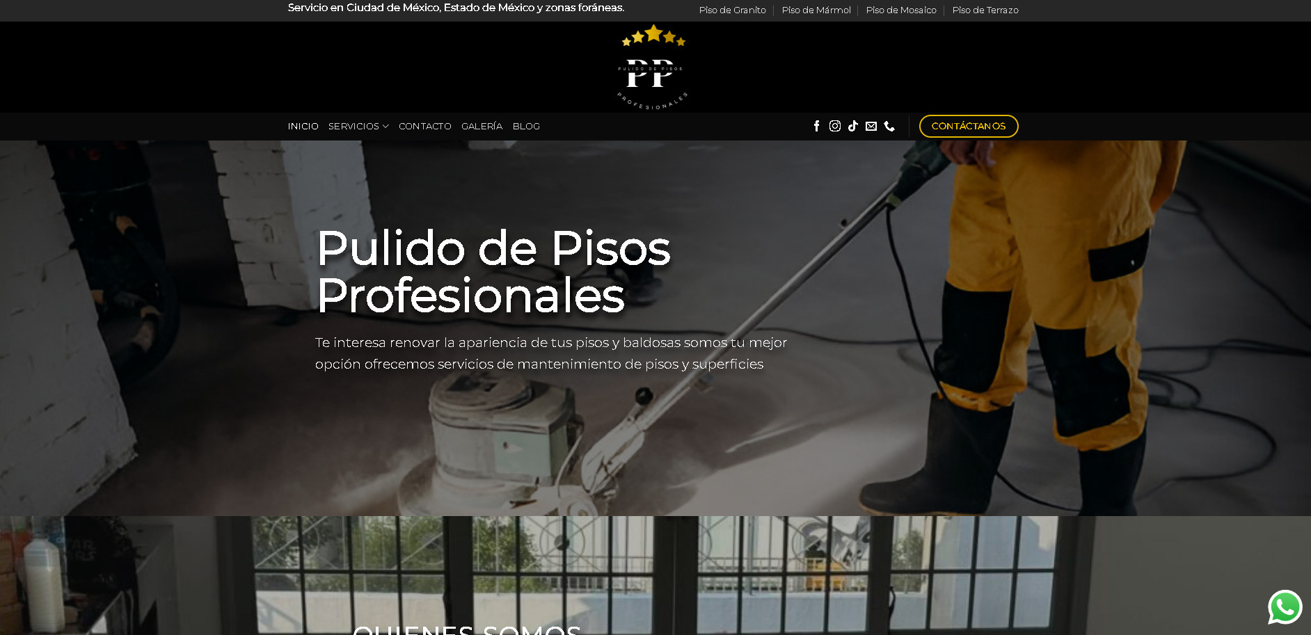 Proyecto Pulido de Pisos Profesionales